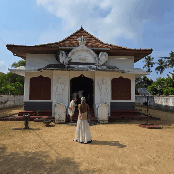 Sri Lanka Retreat: 31/10 - 9/11 2025 - immagine 3